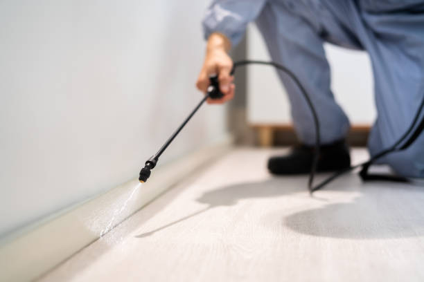 Licensed Mosquito Control service in Burton, MI - Show Me Pest Control