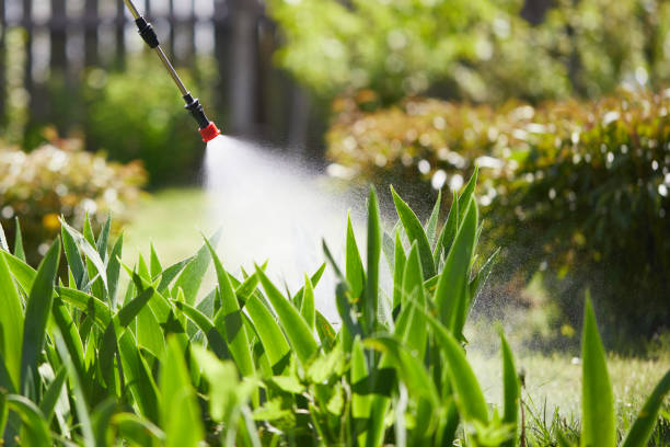 24/7 Emergency Mosquito Control experts in Burton, MI