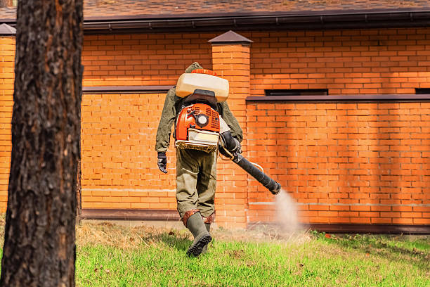 Top rated local Mosquito Control specialists in Burton, MI